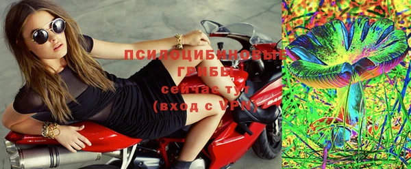 прущие грибы Алексин
