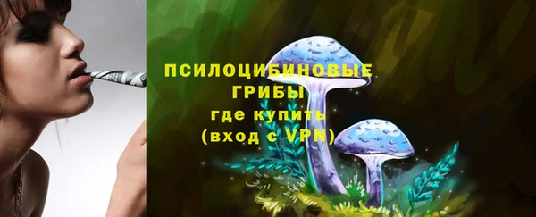 прущие грибы Алексин